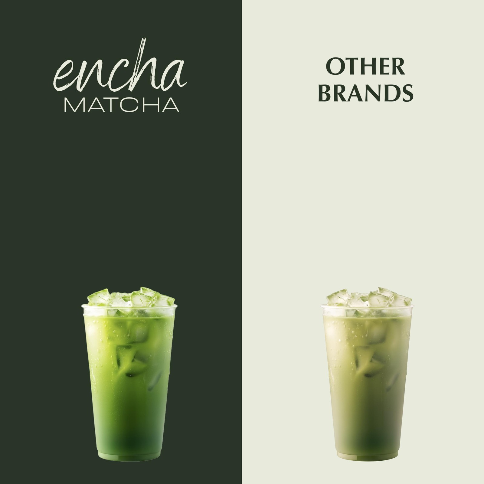 Encha Matcha Latte Powder Reishi Mushroom Matcha Powder First Harvest Prem…