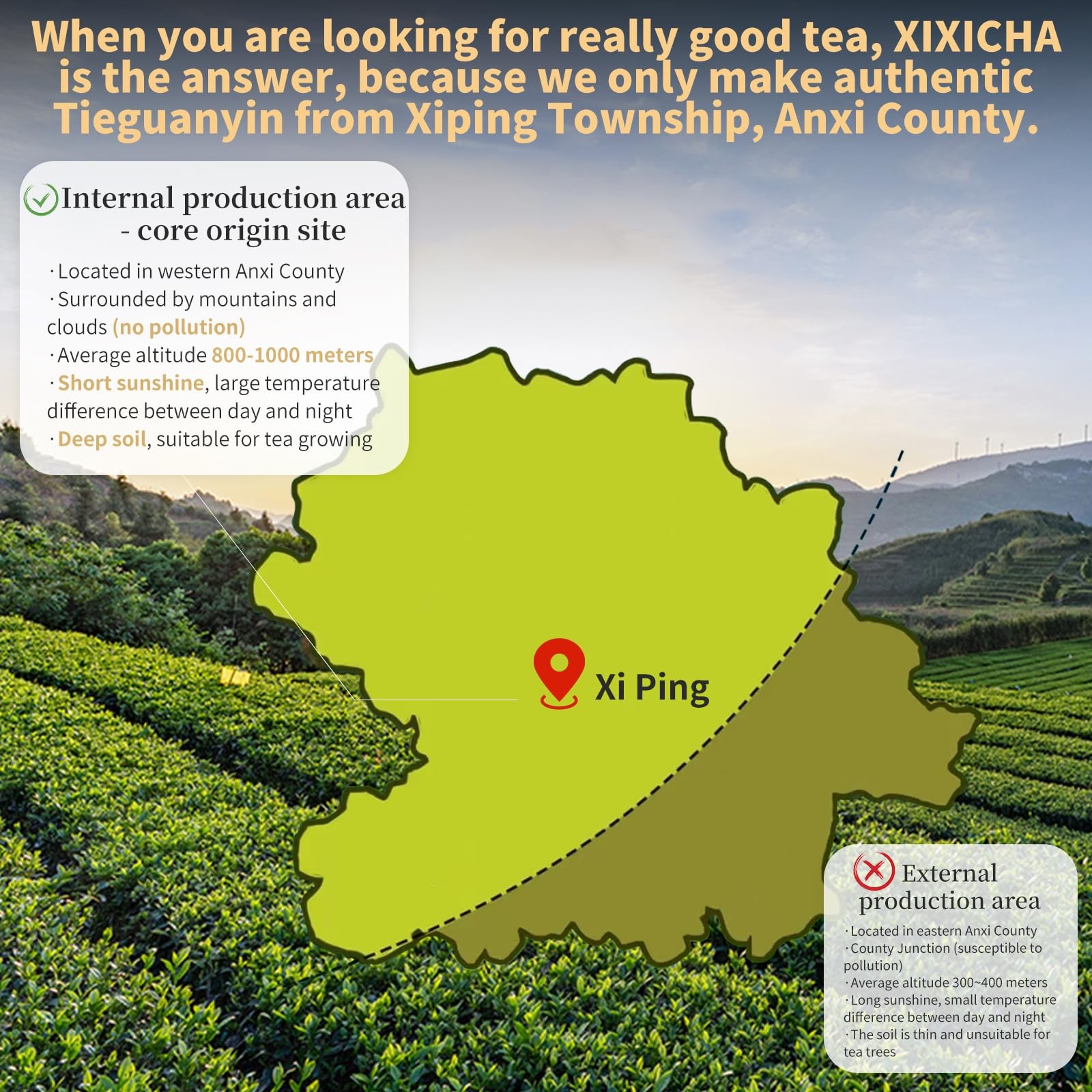 XIXICHA Anxi Tie Guan Yin Oolong Tea Tieguanyin Tea Iron Goddess Oolong Tea L…