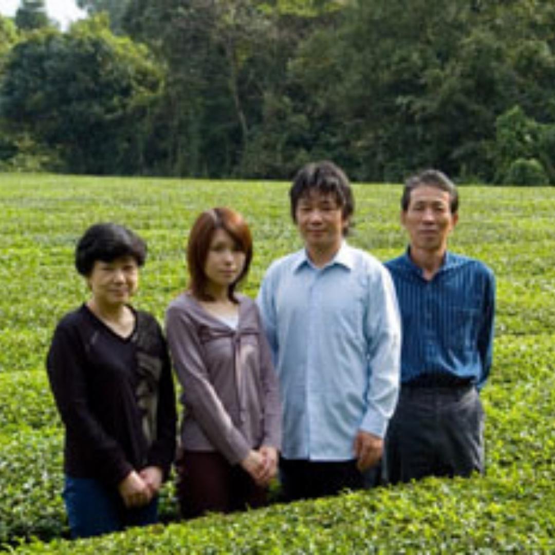 Organic Roasted Green Tea – Autumn Standard Houjicha – 2 size / USDA Certified