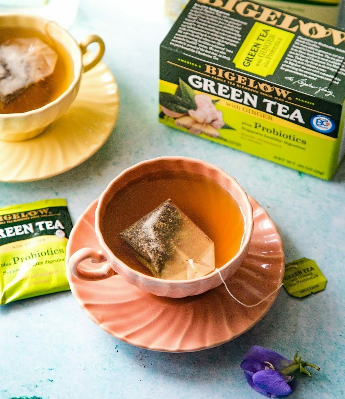Lot 6 Bigelow Green Tea Ginger Probiotic Bag 108 Brew Health Immune Gif FreeShip