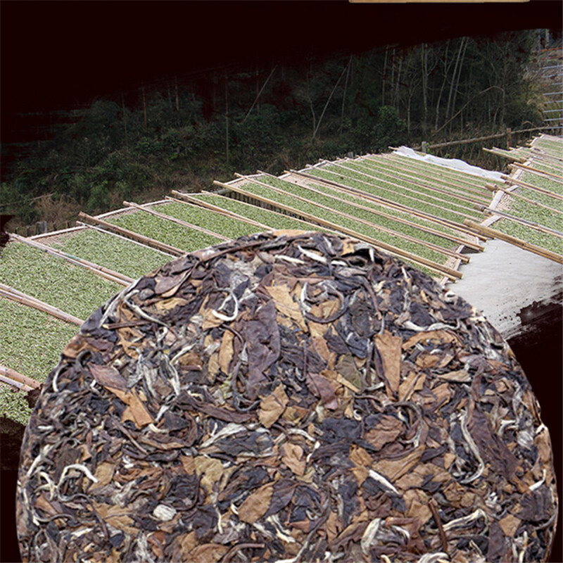 2013 Fuding Shoumei White Tea Cake 350g Natural Herbal Detox Energy Tea