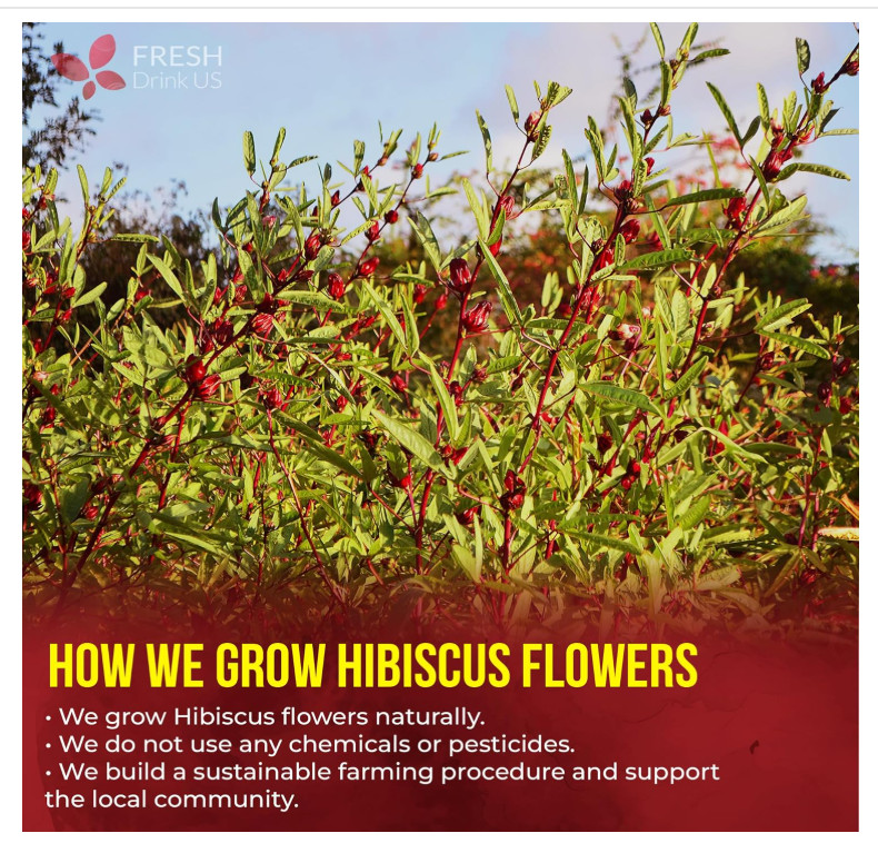 , Premium 140 Hibiscus Flowers Tea Bags, 100% Natural, Handmade & Pure from Hibi