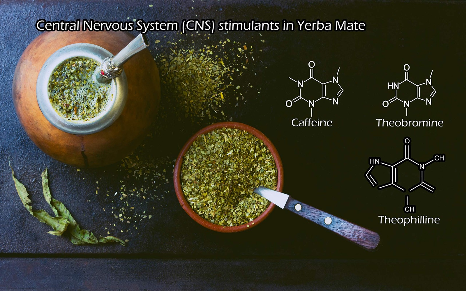 Yerba Mate Tea 1LB (16Oz) HI-CAFFEINE 100% CERTIFIED Organic SUPER-GREEN Yerb…