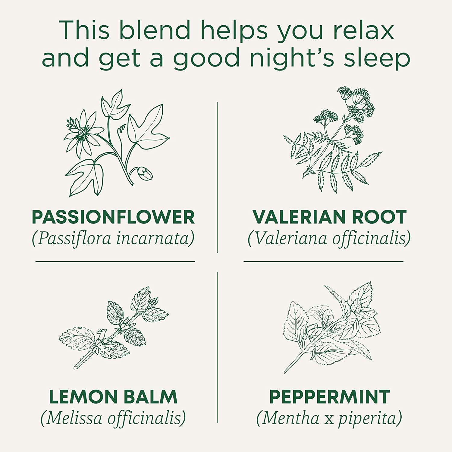 Traditional Medicinals Organic Nighty Night Extra Tea with Valerian Root for Rel