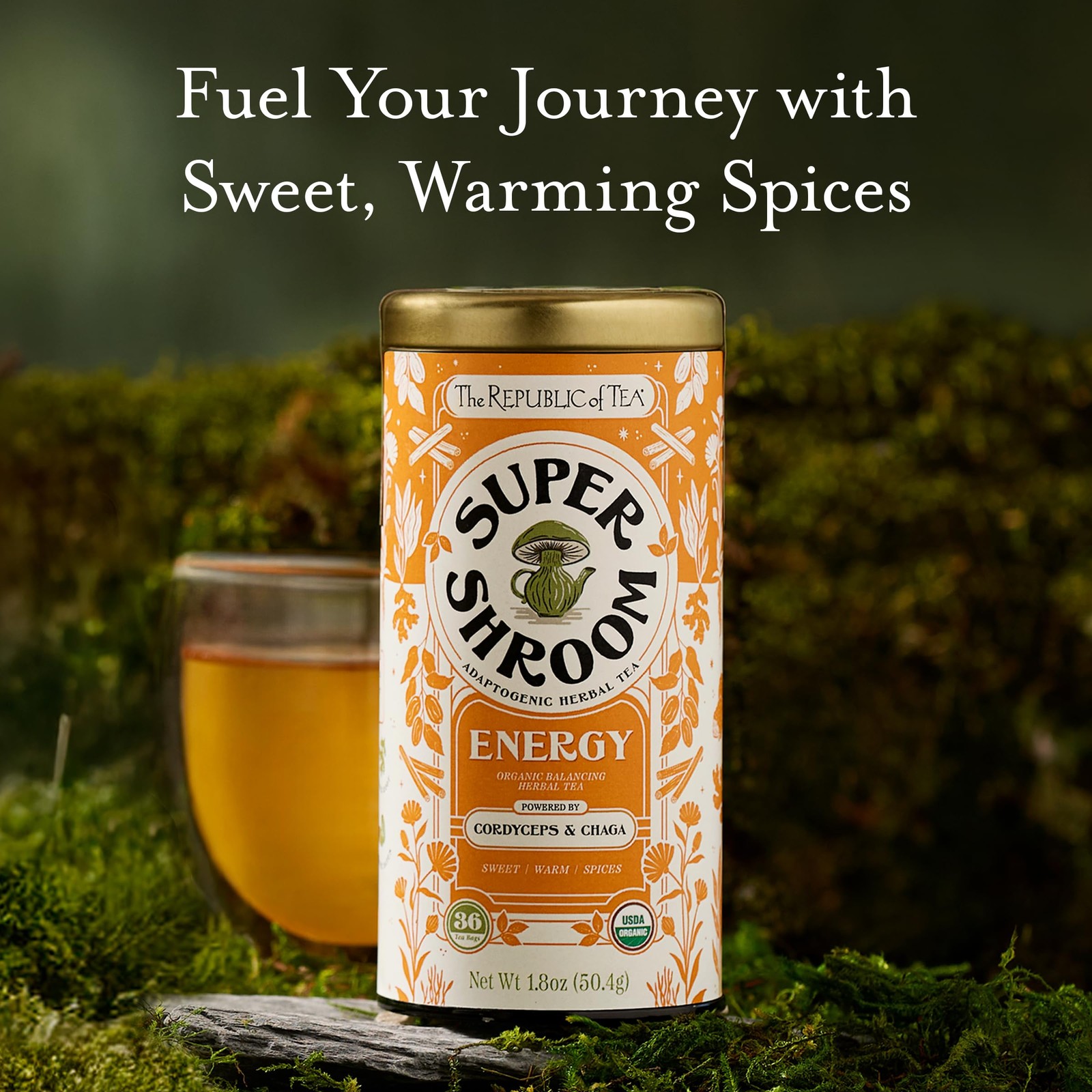 SuperShroom Energy Cordyceps and Chaga Herbal Tea, Organic Cinnamon, Ginger a…