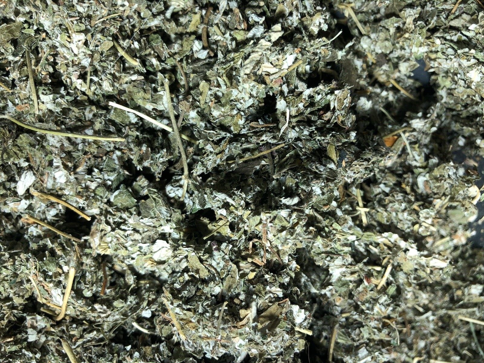 Red Raspberry Leaf ORGANIC cut Wild Crafted￼ rubus idaeus Bulk Herb 1 Lb pound