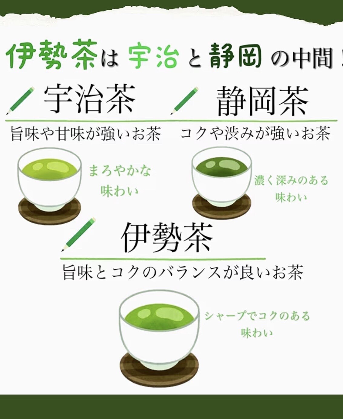 Kita Seicha Tokumaro Deep Steamed Sencha 200g | Ise Green Tea Japan