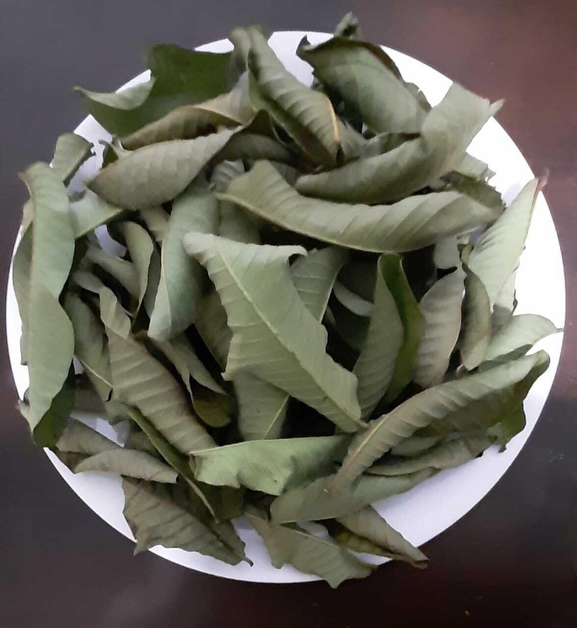 CEYLON DRIED GUAVA LEAVES GARDEN STOP HAIR LOSS TREATMENT FRESH GREEN DRY GUYABA