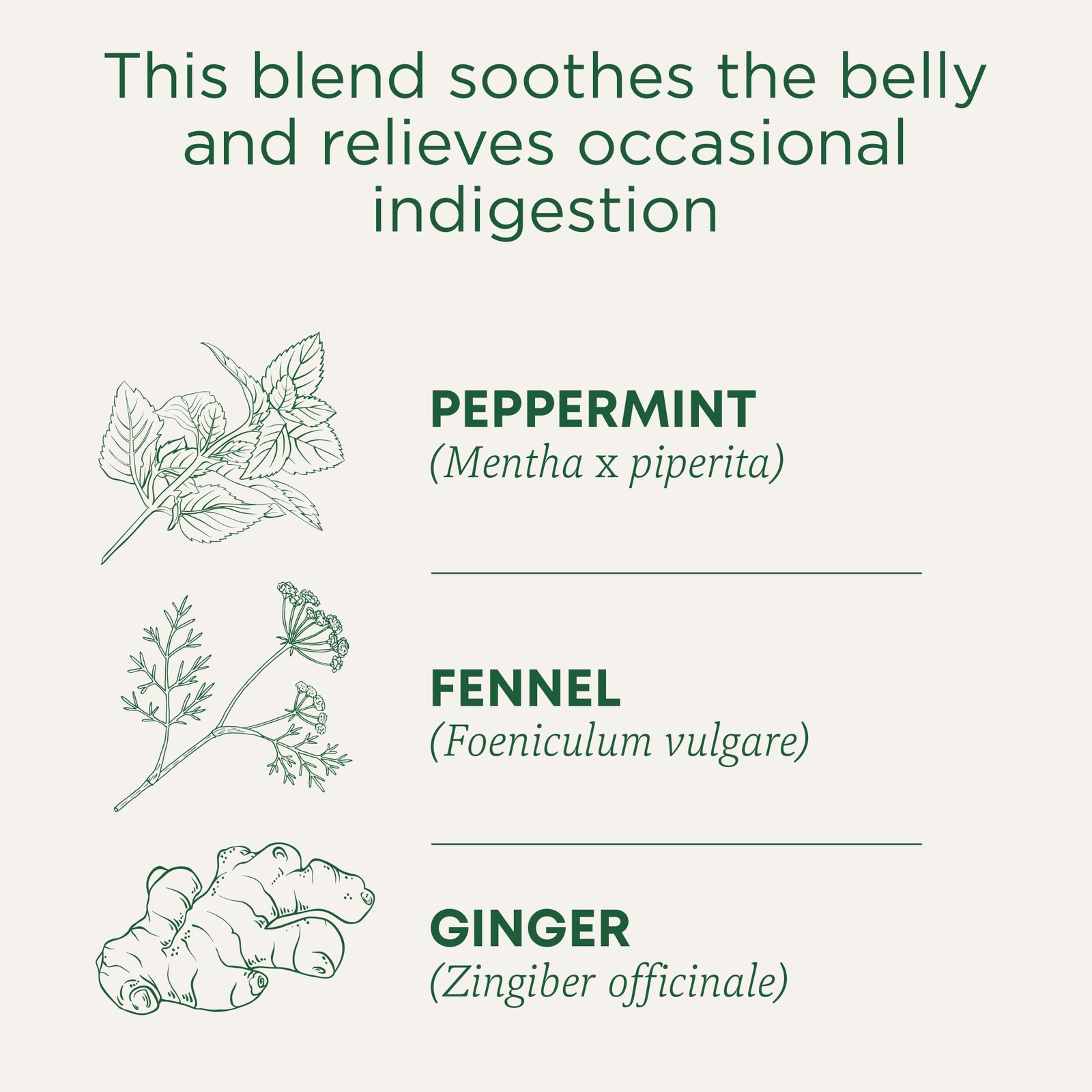 Traditional Medicinals Organic Belly Comfort Peppermint 96 Count (Pack of 6)