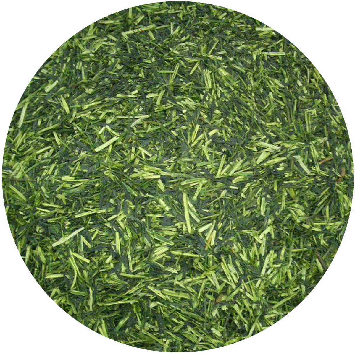 Japanese Green Tea NEW Tokujou Gyokuro Karigane 100g(3.5oz)
