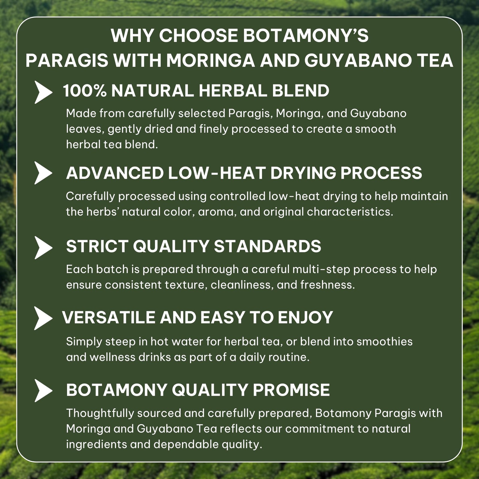 Paragis with Moringa and Guyabano Tea, 30 Tea Bags 2g Each, Tropical Tea Blen…