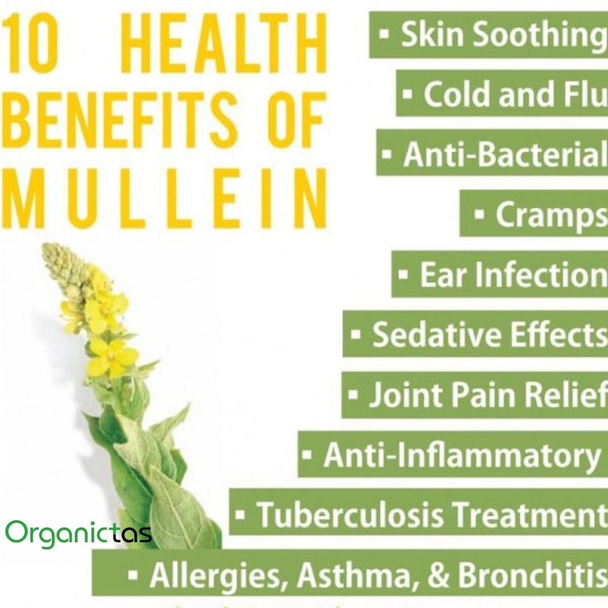 Organic Mullein Leaves Tea Mullein Herb with Health Benefits 200g / 7.10 oz