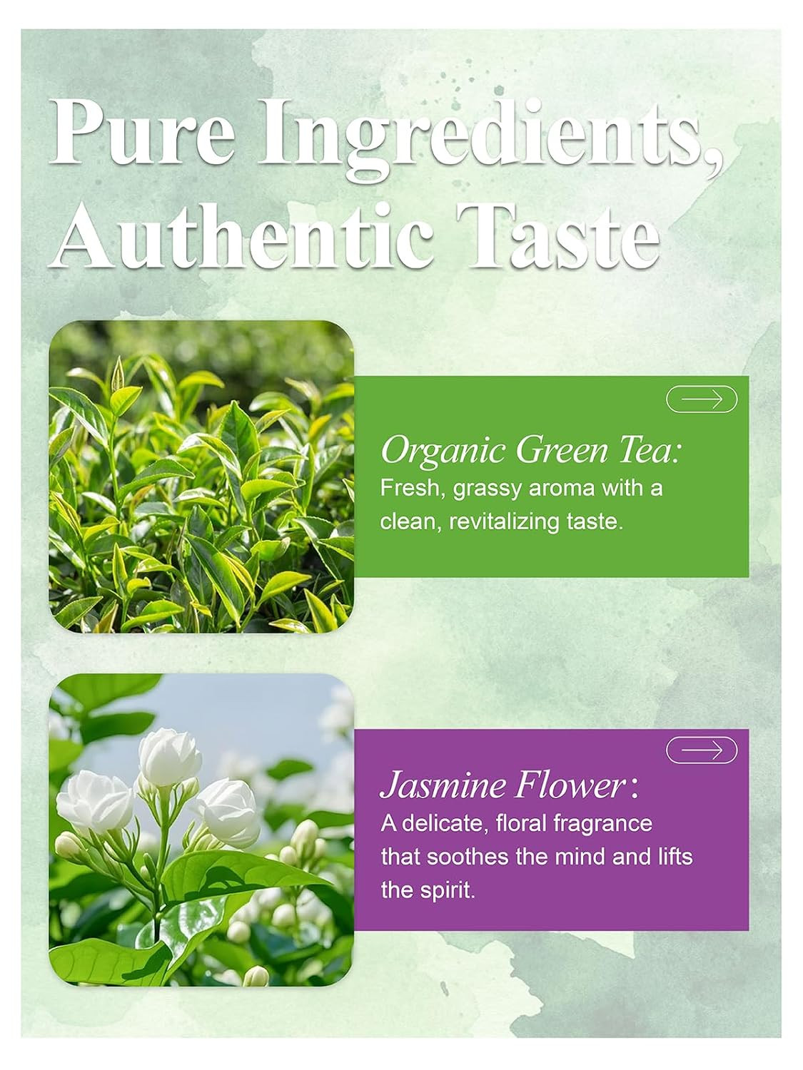 Organic Jasmine Green Tea Bags, Organic Green Tea with Jasmine Flowers, Refreshi