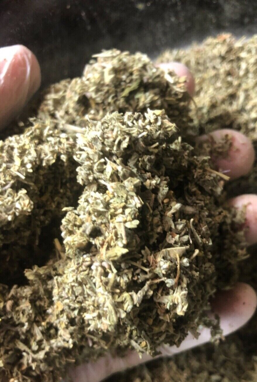 DAMIANA leaves w/c wild crafted leaf cut c/s bulk HERB 1/2 oz