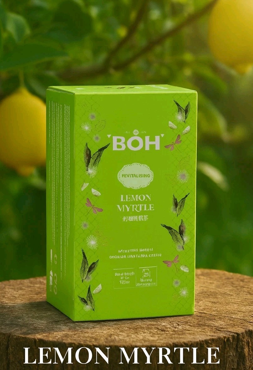 5 X BOH Lemon Myrtle Infusion Tea Bags Herbal Caffeine-Free 25s Relax & Refresh