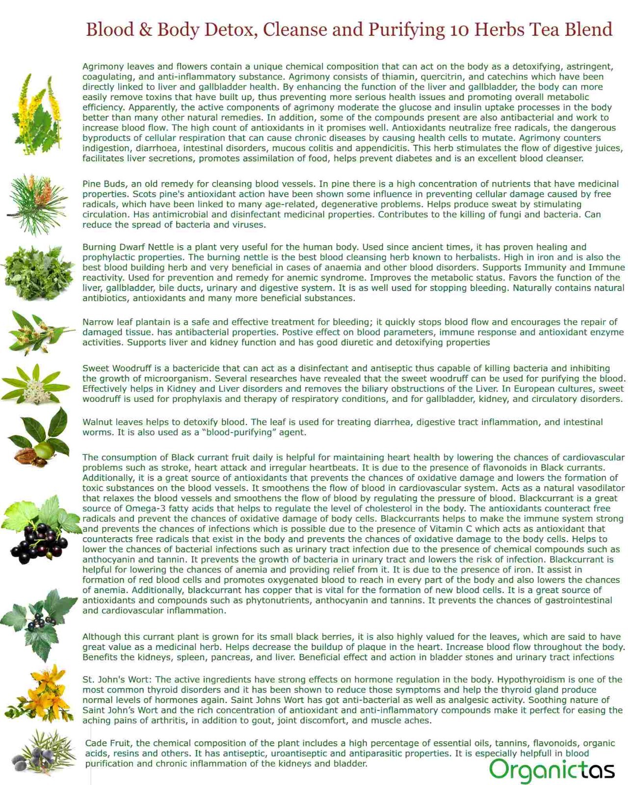Organic Tea Blend with 10 Herbs for Body & Blood Detox, Cleanse and Purifying