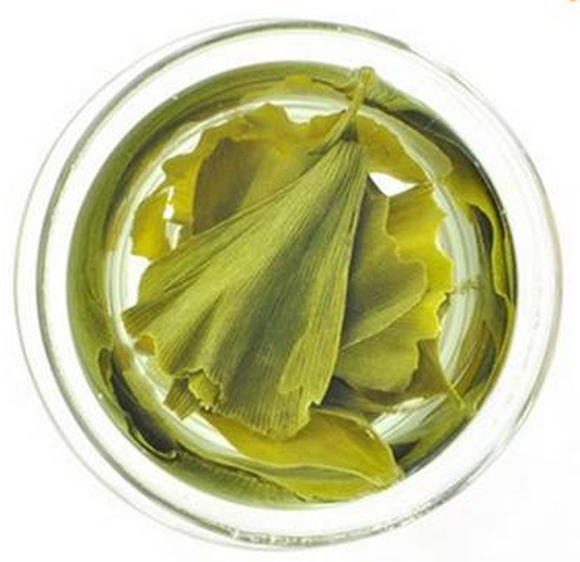 100g Organic Chinese Slimming Ginkgo Biloba Leaf Tea H29, Premium Herbal Tea