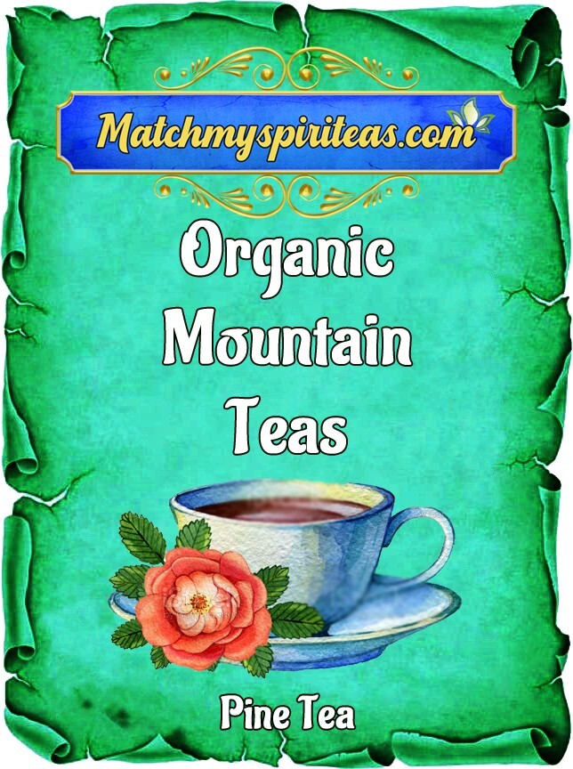 Healing Organic Herbal Pine Tea U.S.A Grown in the Catskill Mountains of NY