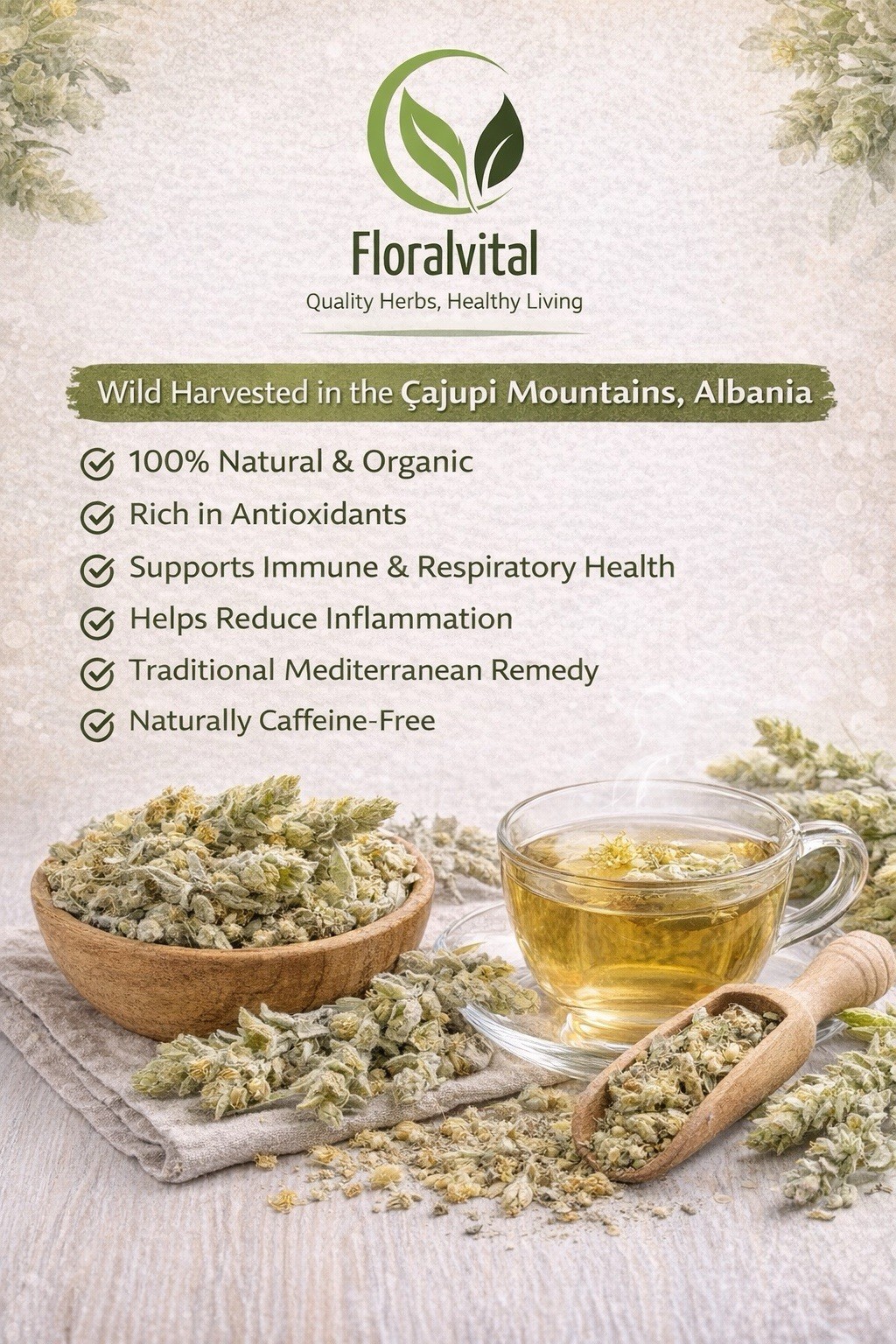 Organic Albanian Greek Mountain Tea – Sideritis Raeseri – Natural Immune Support