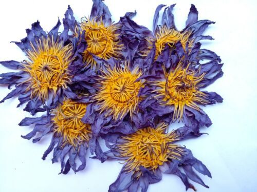 Blue Lotus Flower Nymphaea Caerulea Hand Picked Dried Natural Herbal Tea 50g