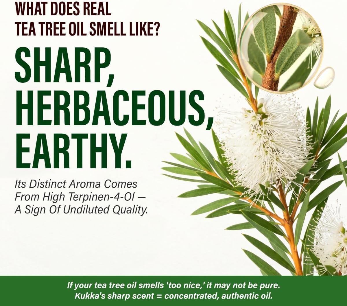 100% Pure Tea Tree Essential Oil 4 Fl Oz, Hair Skin & Aromatherapy