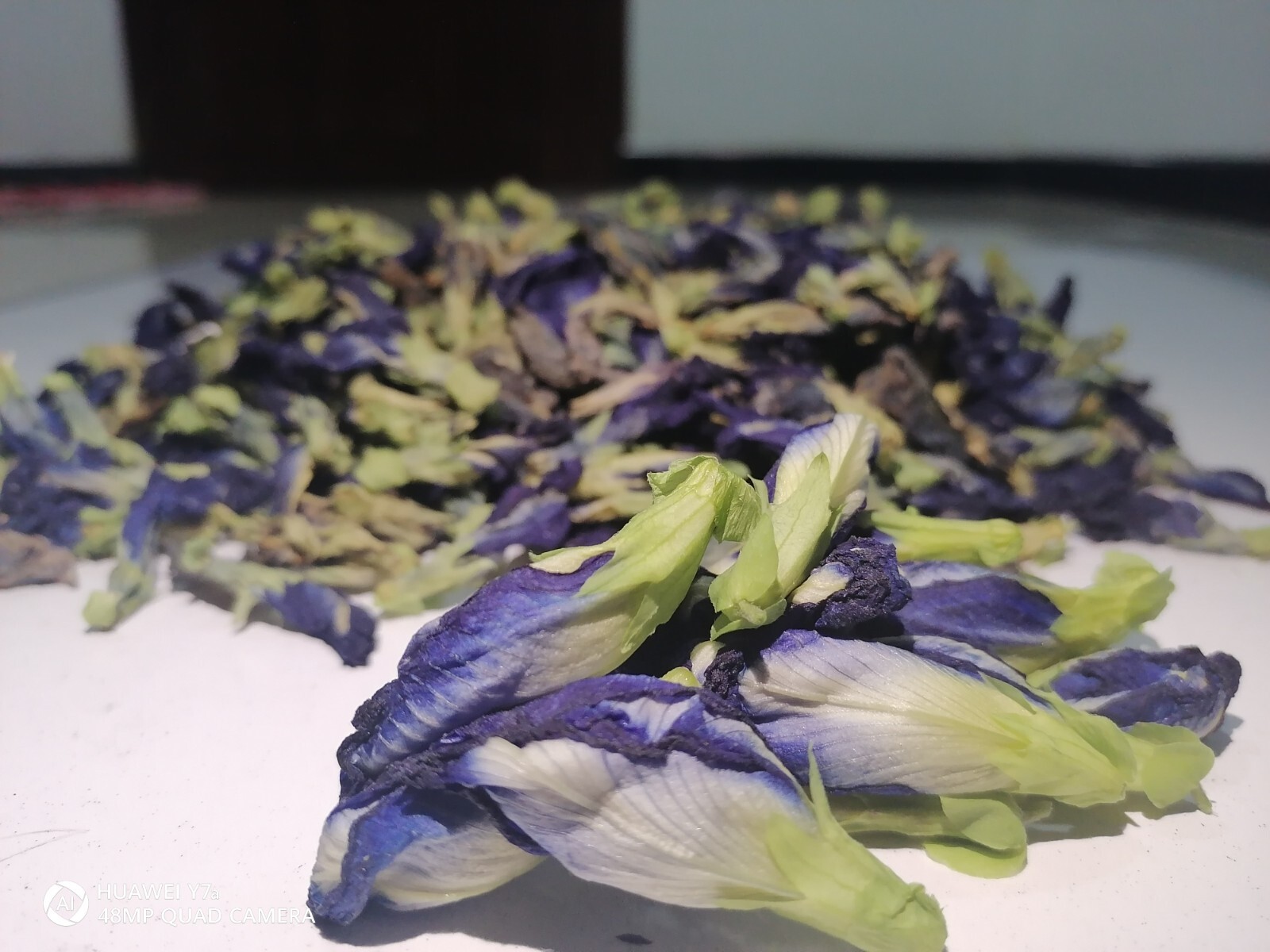 Premium Ceylon dried BUTTERFLY PER flowers Tea Ayurveda NIL KATAROLU 50pcs