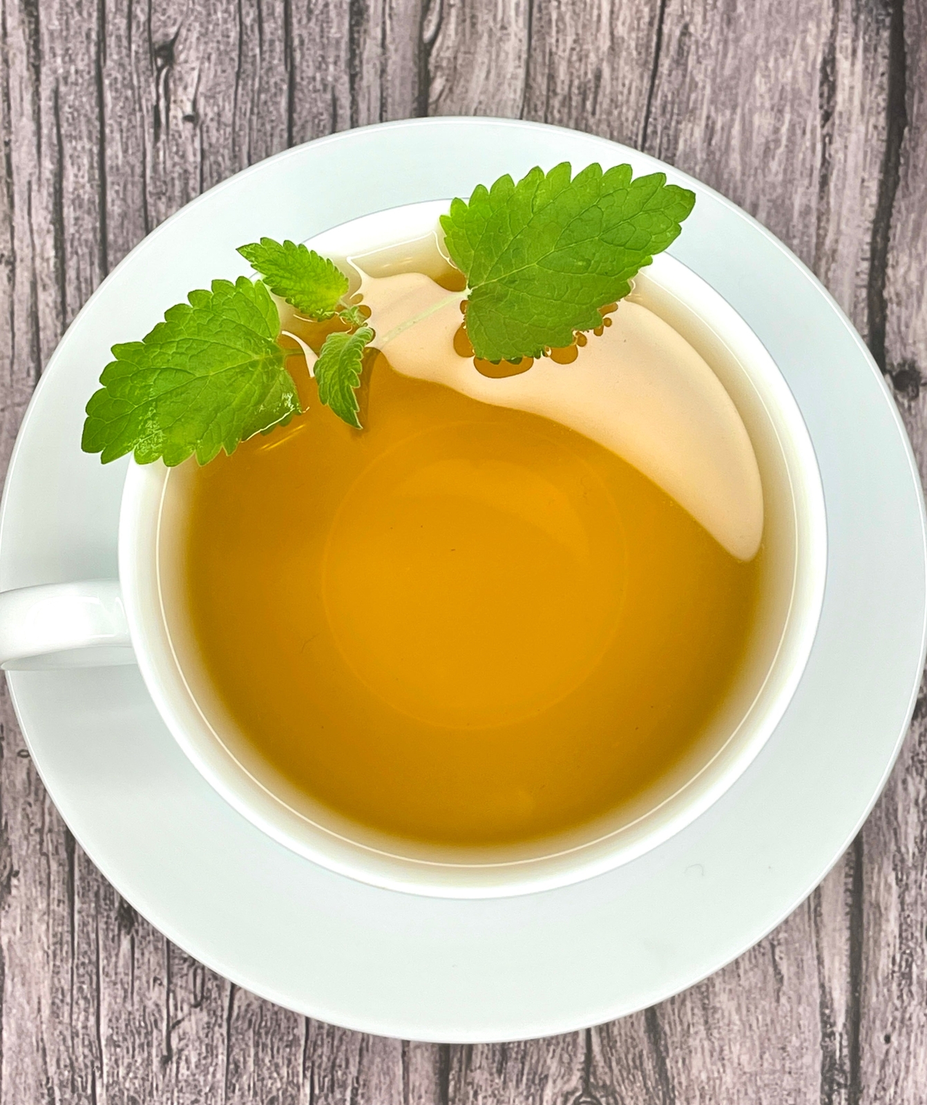 Catnip Tea by Palm Beach Herbals | 30ct, Caffeine-Free