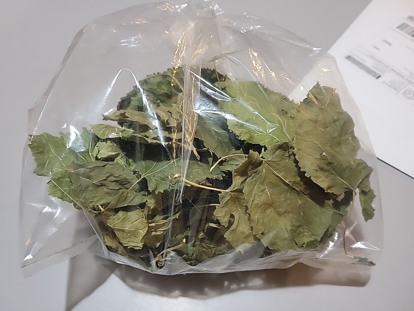 Dried Organic White Mulberry Leaves 30 Pcs