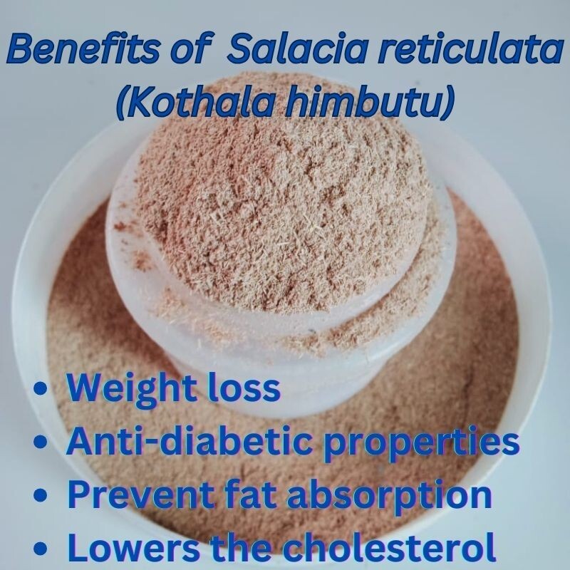 Salacia reticulata ceylon Kothala Himbutu Pure Herbal Drink Powder For Diabetic