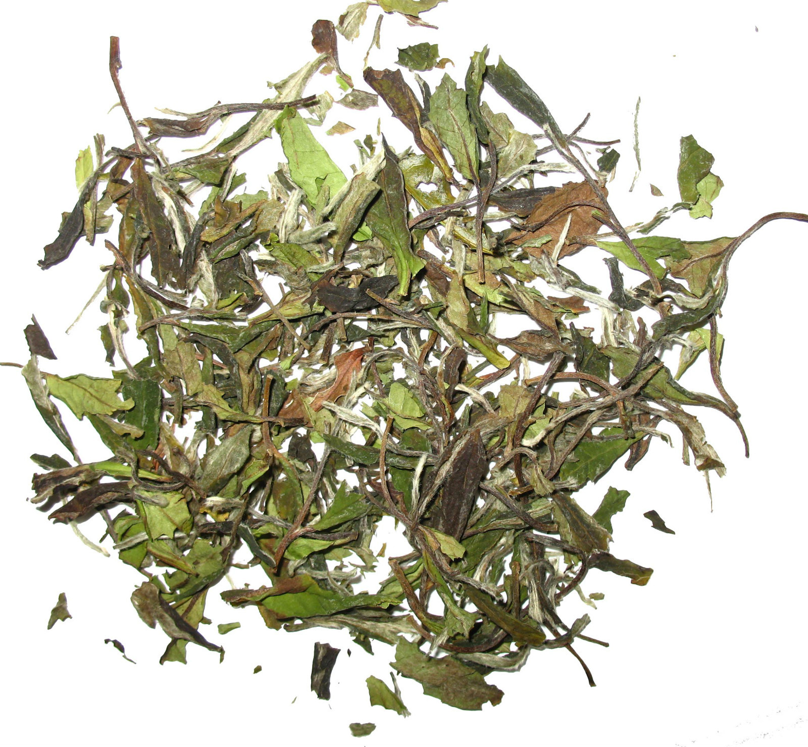 Organic WhiteTea White Peony Loose leave Tea Premium White Tea 1/2 LB