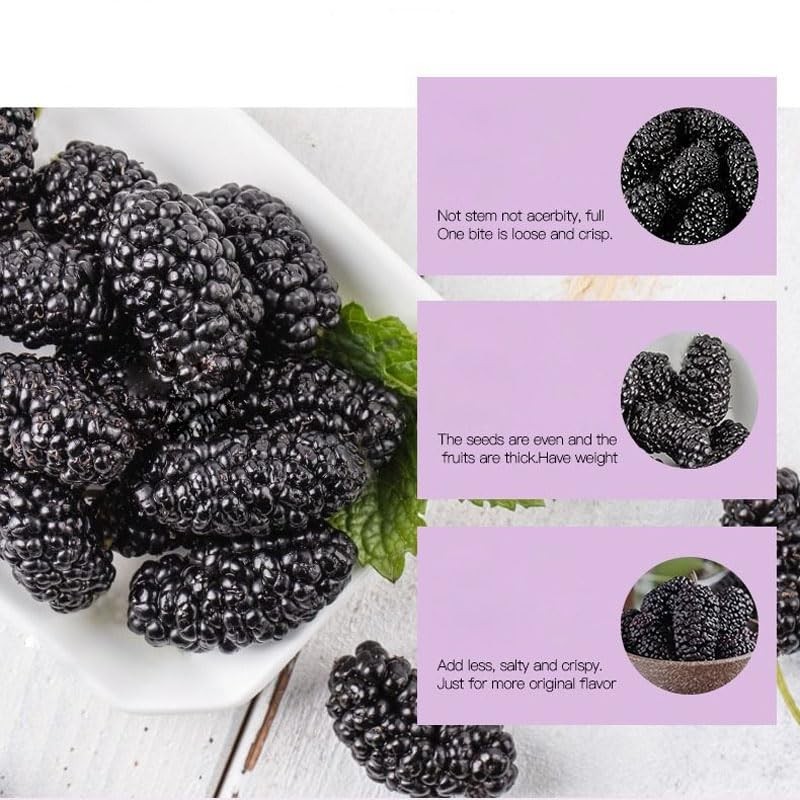 Dried Black Mulberries 黑桑葚 12.35Oz(350G) Fruit Tea Sun-Dried Mulberries