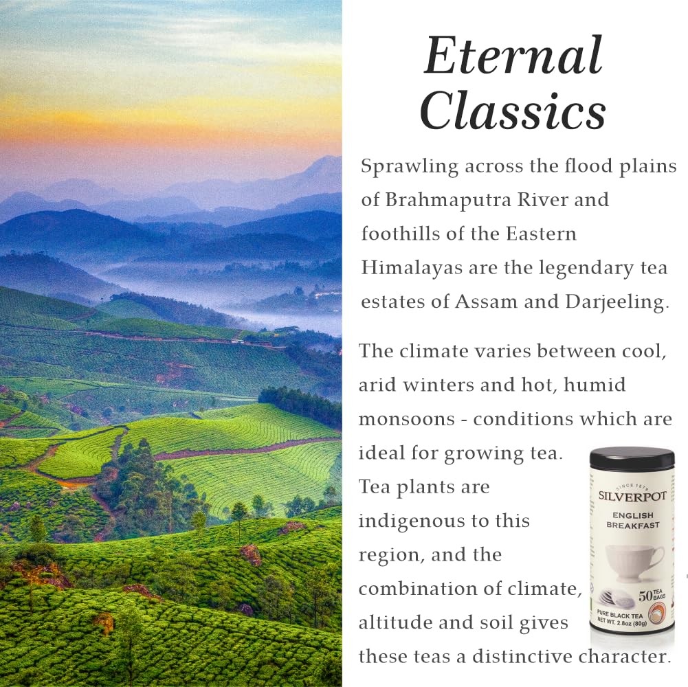 English Breakfast Black Tea 50 Round Bag Farm-Direct Assam Blend Reusable Tin