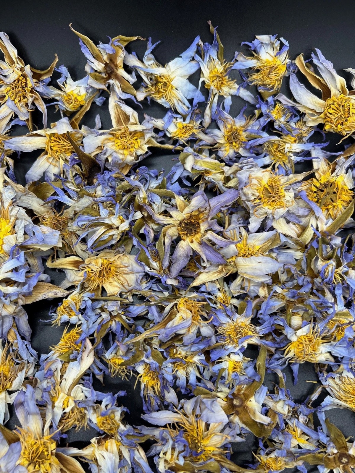 Egyptian Blue Lotus | Nymphaea Caerulea | Dried Whole Flowers