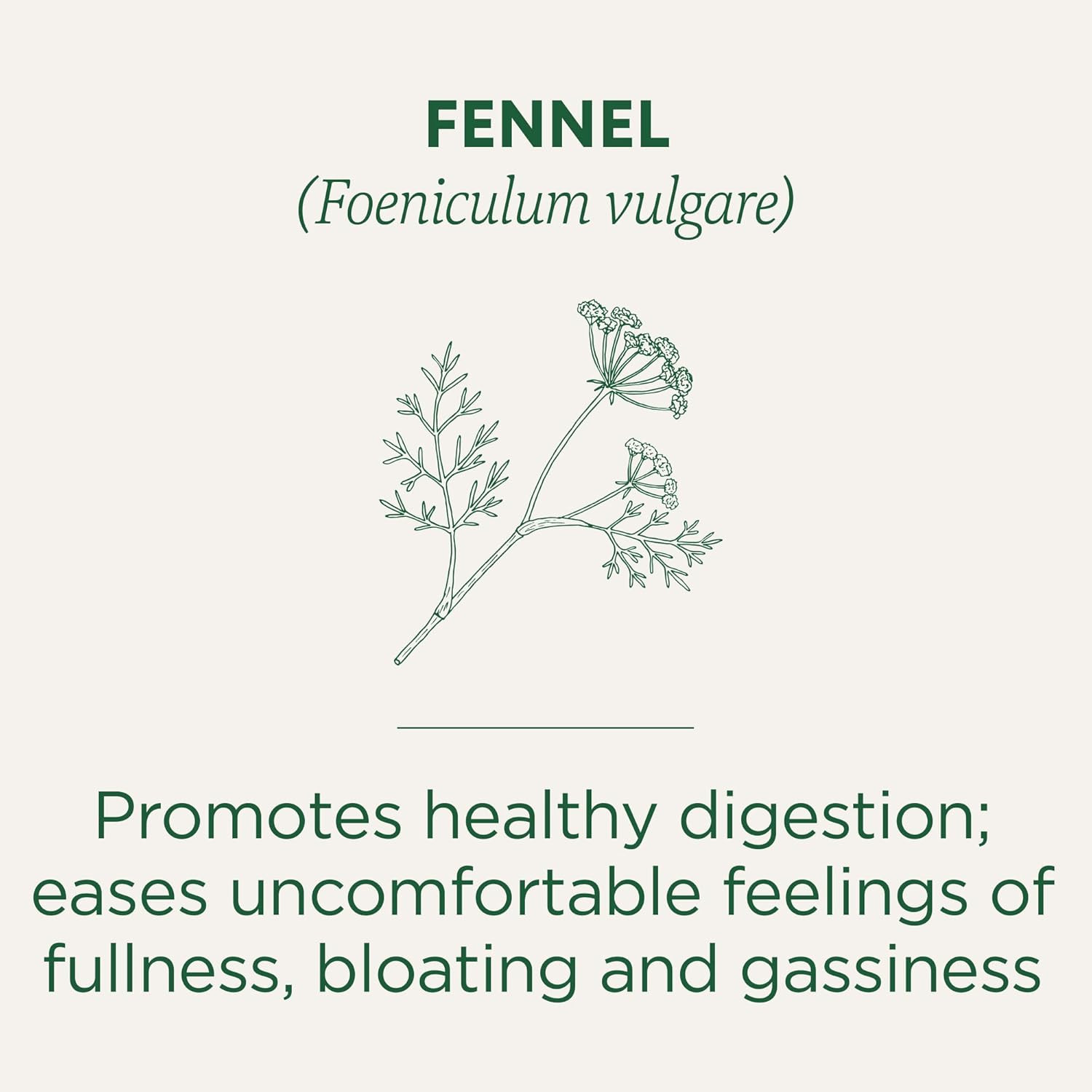 Traditional Medicinals Tea, Organic Fennel, Promotes Healthy Digestion, 96 Tea B