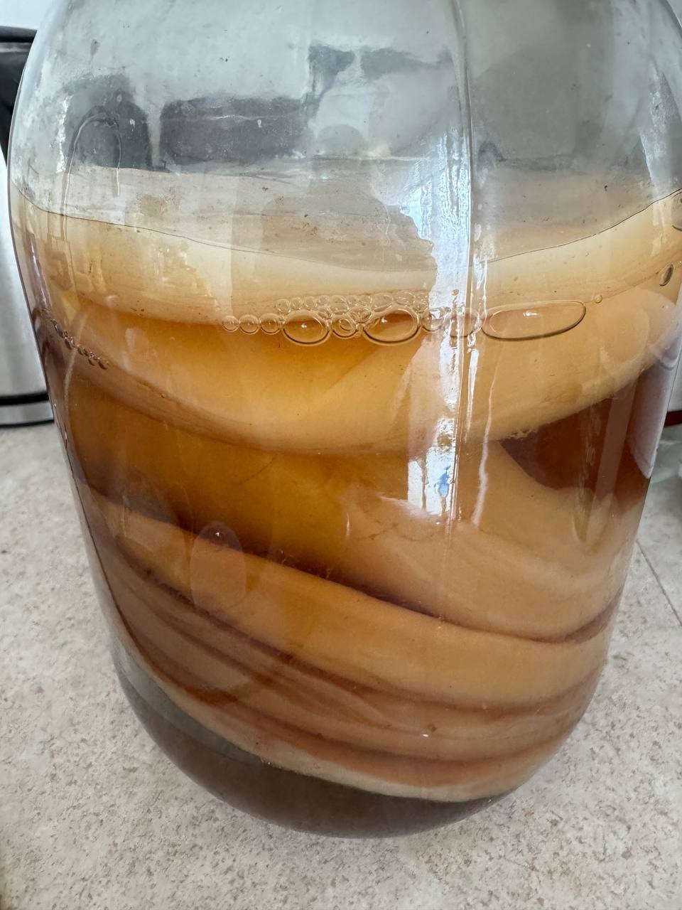 Large Live Kombucha SCOBY + Starter Tea | Tea Mushroom |Healthy Culture | Ready