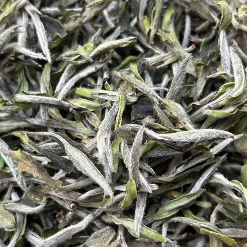 500g Fuding 2024 High Mountain Peony King Honey Fragrance Bulk Old White Tea