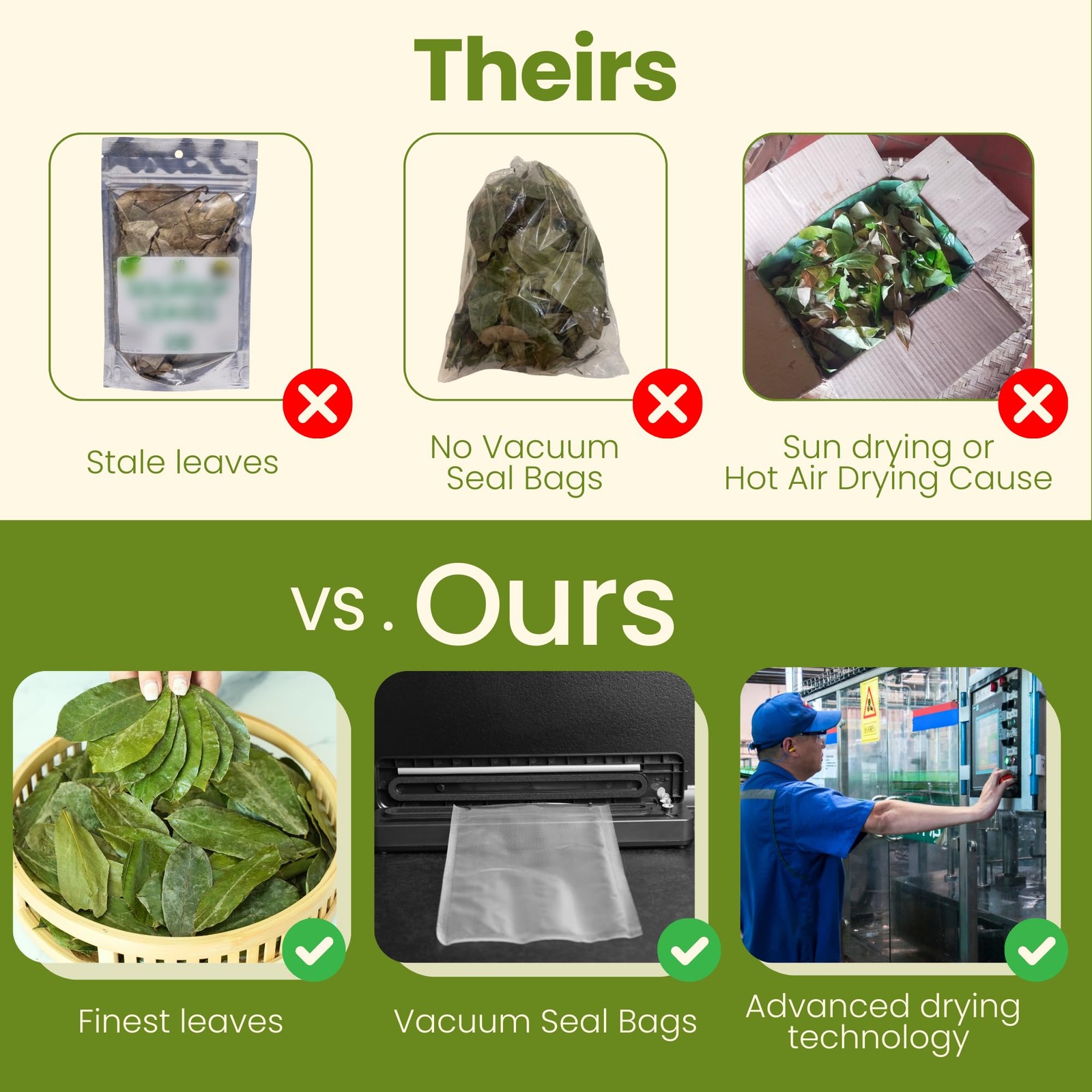 250+ Soursop Dried Leaves, 3oz Premium Graviola Leaves, 100% Pure Guanabana L…