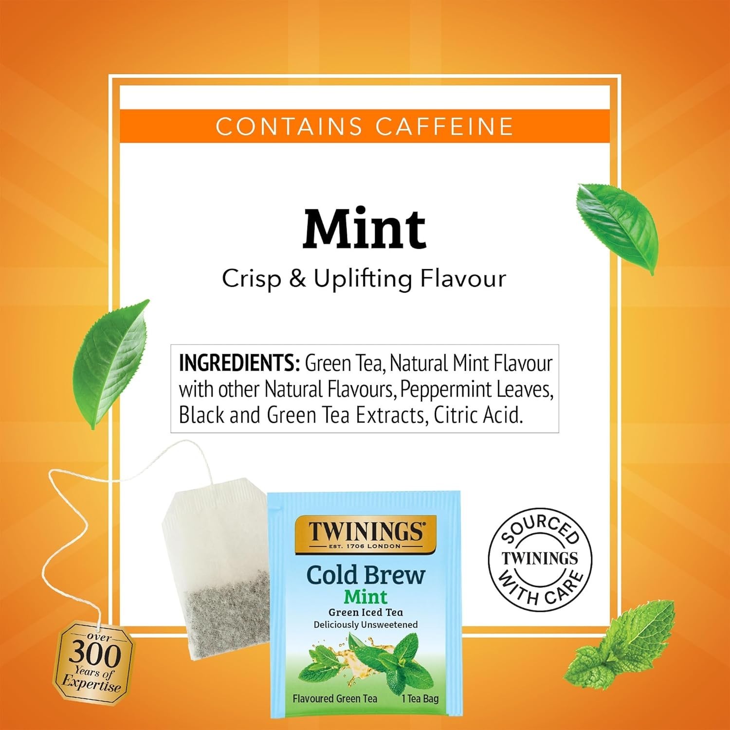 Mint Green Cold Brew Tea Bags – 20 Teabags, Dairy-Free & Keto-Friendly