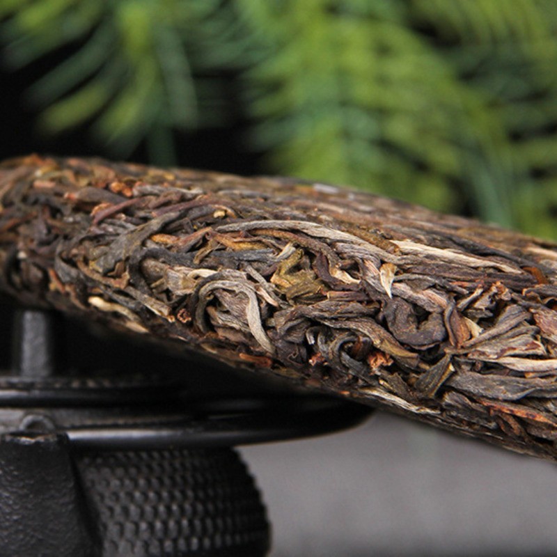 357g Yunnan Lincang 2023 Early Spring Ancient Tea Pu’er Tea Raw Tea Cake
