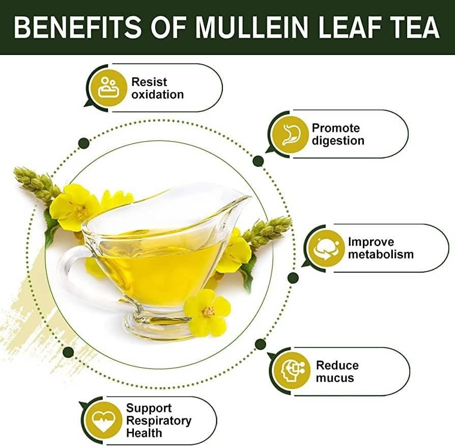 Namo Organics Mullein Tea For Lungs Detox 100gm Antioxidant Rich Immunity
