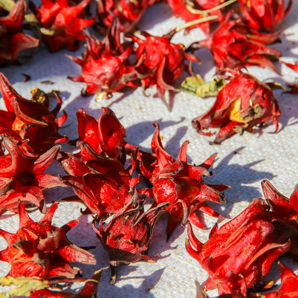 Hibiscus Spearmint Herbal Tea, 30 Premium Tea Bags, All Natural Herbal Tea