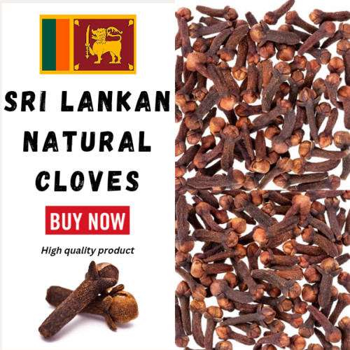 High Quality Ceylon Whole CLOVES / Herbs & Spices/ (sri Lanka)