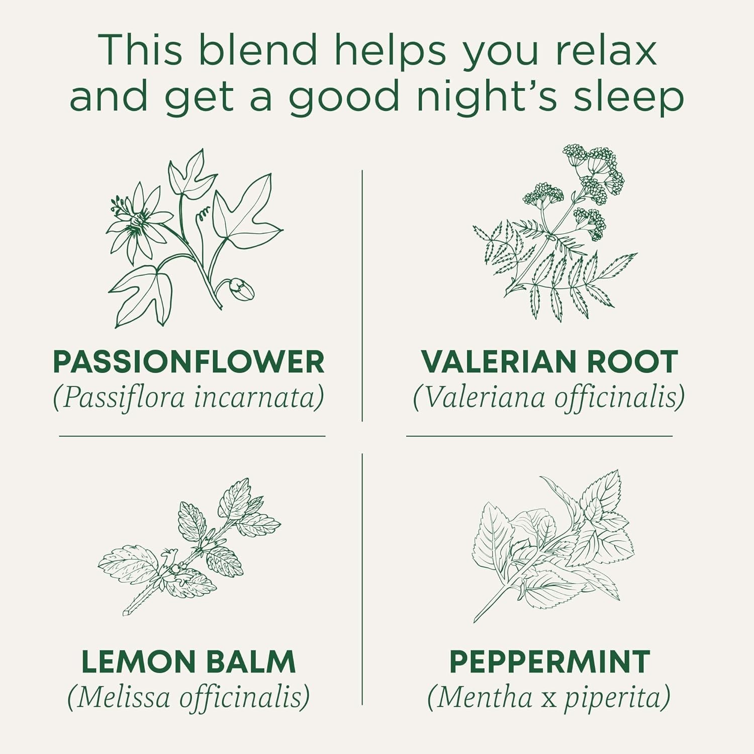 Traditional Medicinals Organic Nighty Night Extra Tea With Valerian Root for Rel