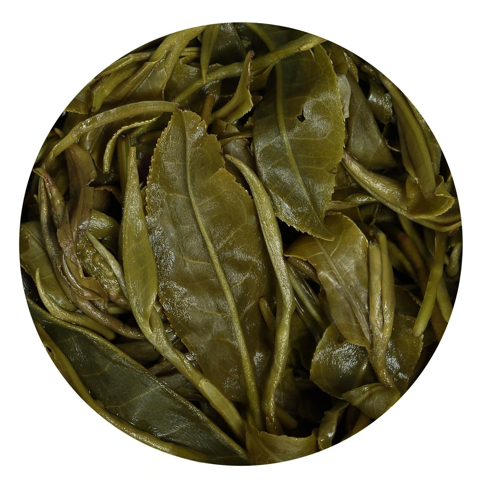1000g Nonpareil Supreme Suzhou Biluochun Green Tea Spring Snail Pi lo Chun Tea