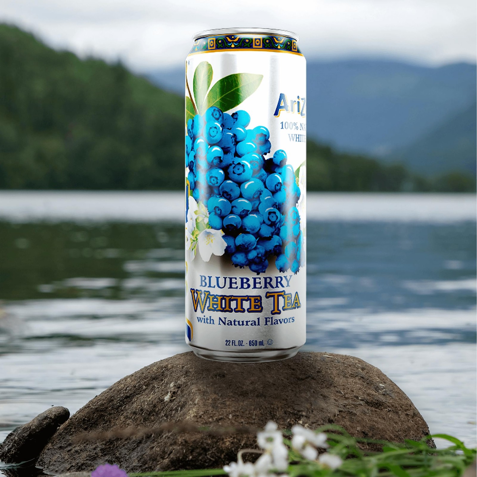 AriZona Blueberry White Tea – Big Can, 22 Fl Oz (Pack of 12)