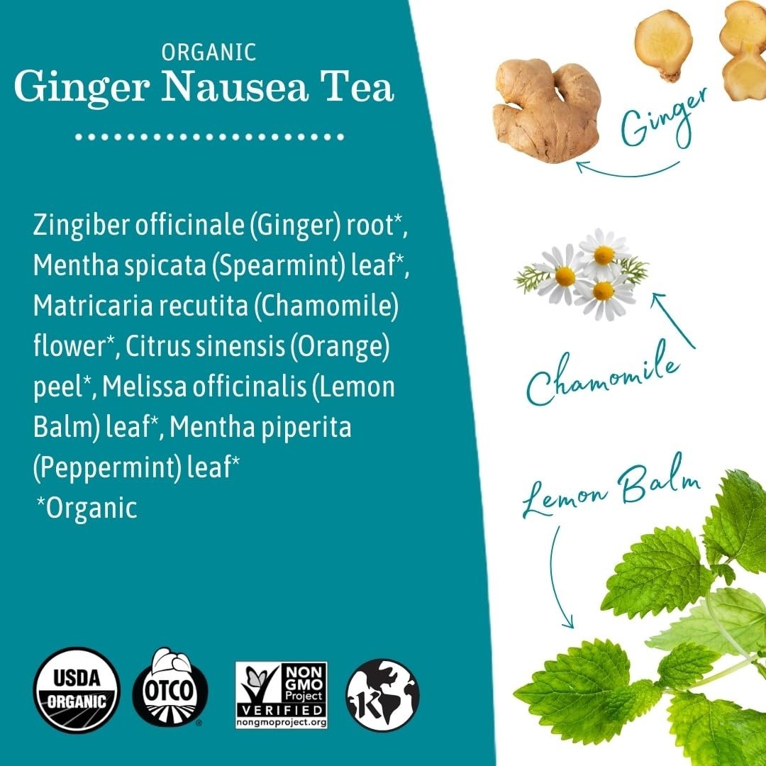 Caffeine-Free Ginger Nausea Tea | Herbal Blend for Digestion