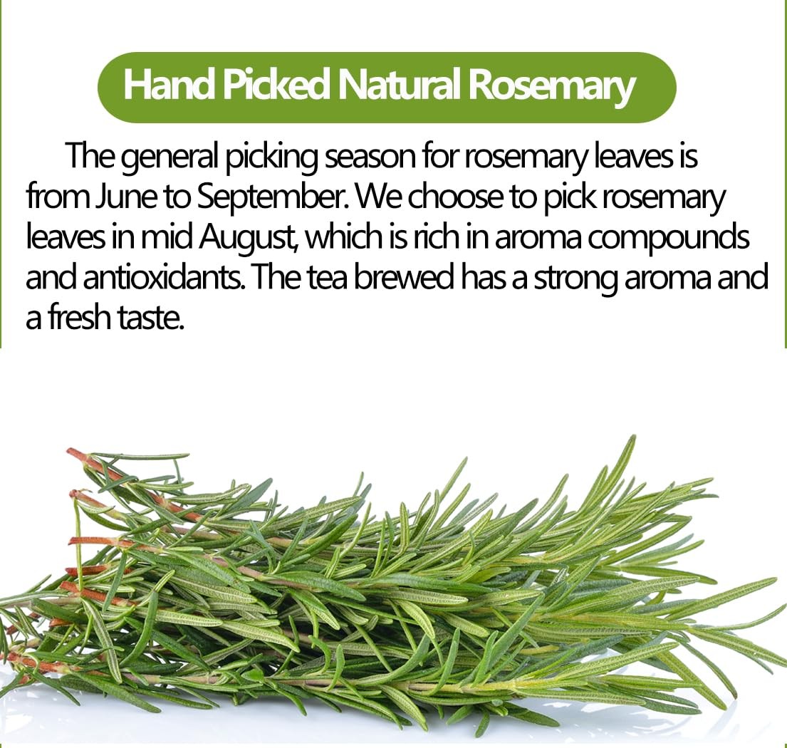 Premium Rosemary Tea Bags, 100 Teabags. Made with 100% 100 Count (Pack of 1)