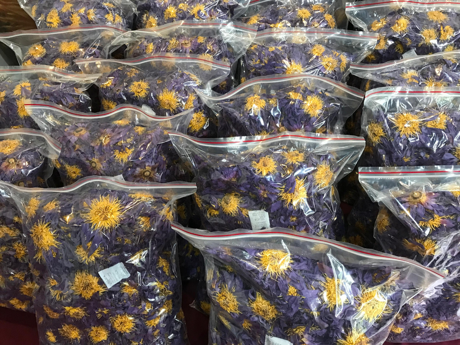 Ceylon Blue Lotus Flower Nymphaea Caerulea Dried Organic Flowers Egyptian Tea