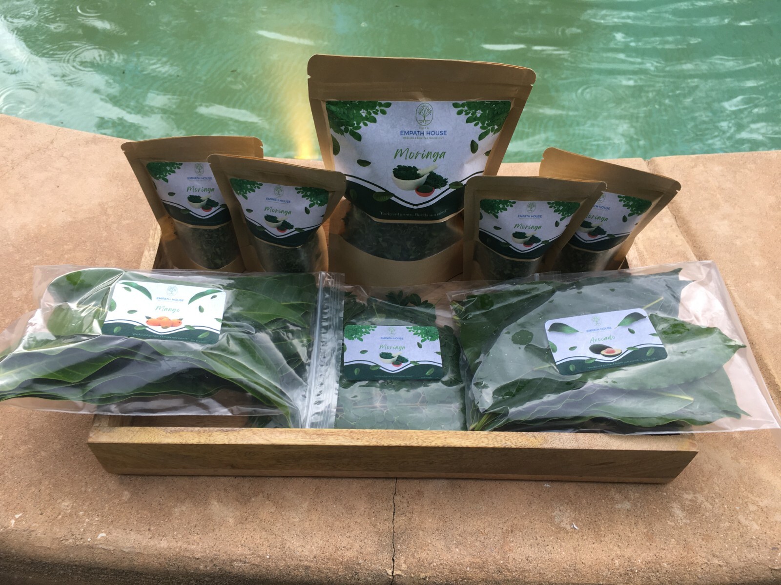 Fresh Mango Leaves Moringa Leaves & Avocado Leaf Mix Combination Freshly Picked
