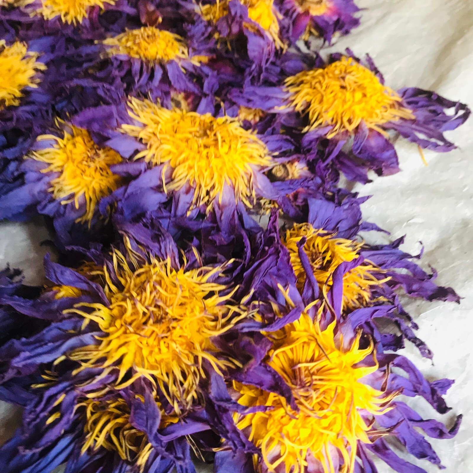 Ceylon Dried Blue Lotus Whole Flowers Nymphaea Caerulea Hand Picked Organic Tea